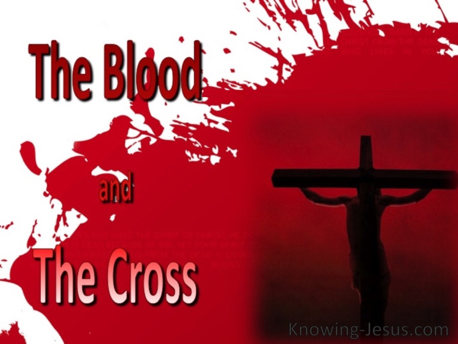 The Blood and the Cross (devotional)11-23 (white)